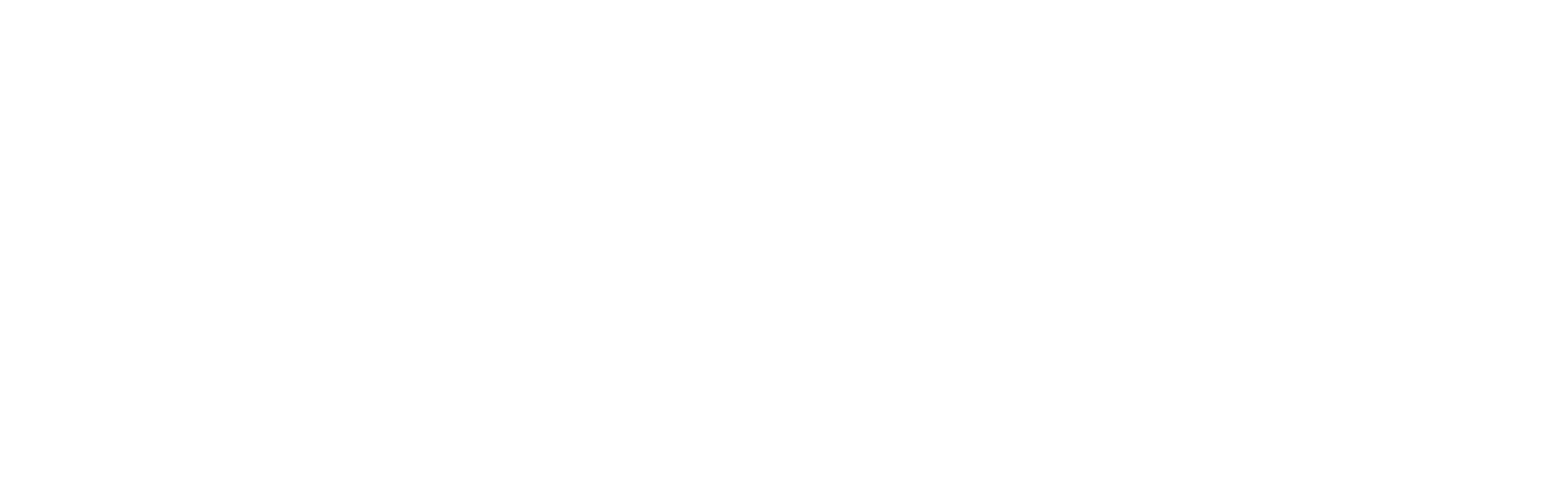Fitucci Logo White